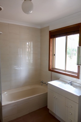 Premier Unit bath